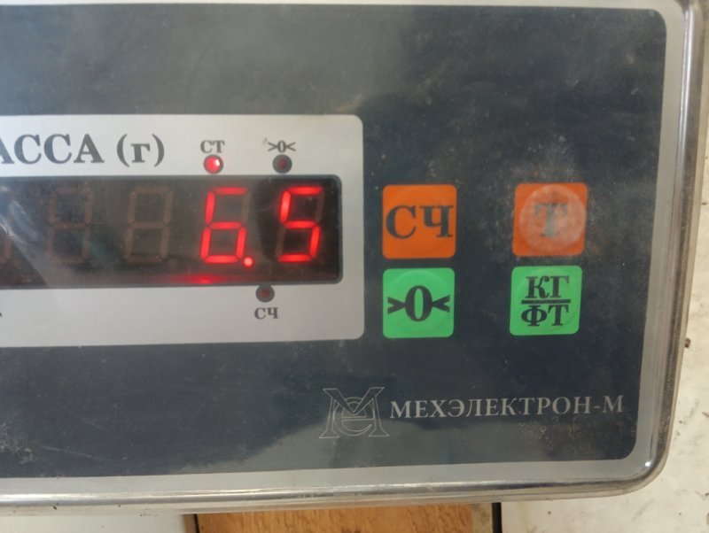 Торпедо
