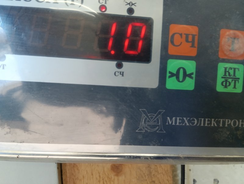 Решетка стеклоочистителей (Жабо)
