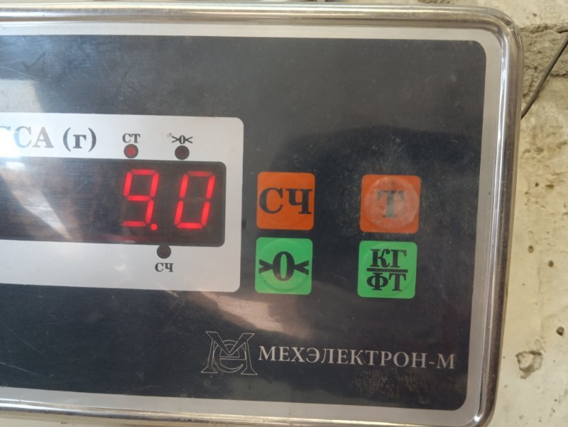 Торпедо
