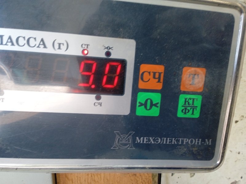 Торпедо