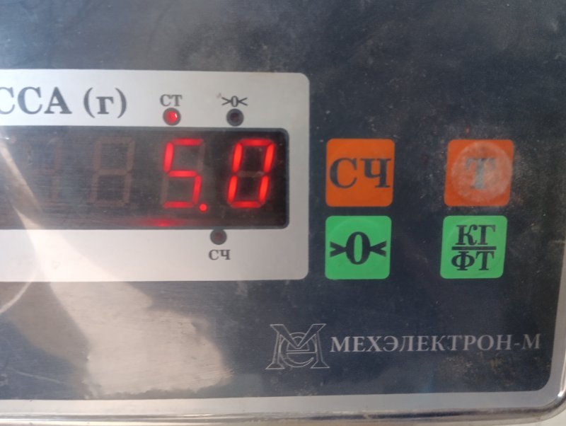 Торпедо