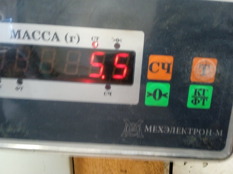 Защита картера