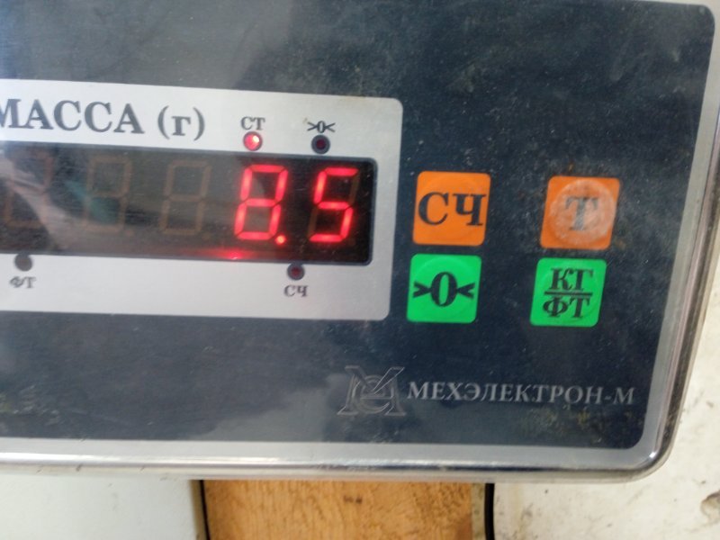 Торпедо