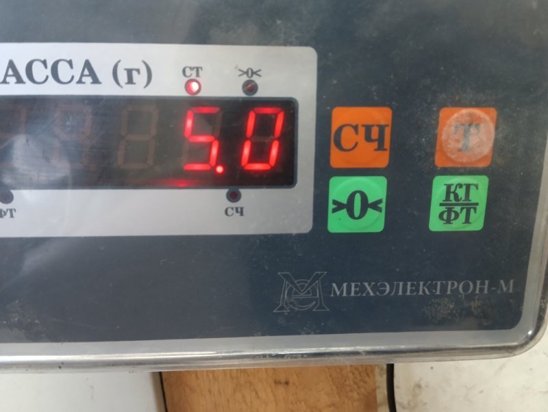 Торпедо