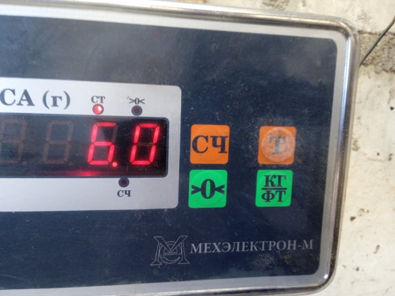 Торпедо