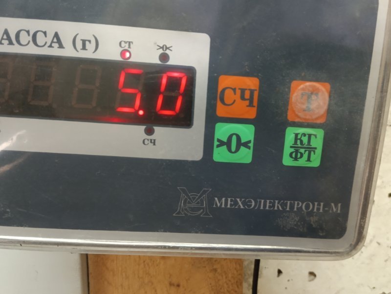 Торпедо