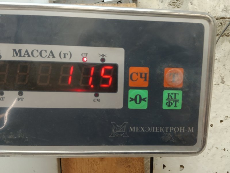 Торпедо