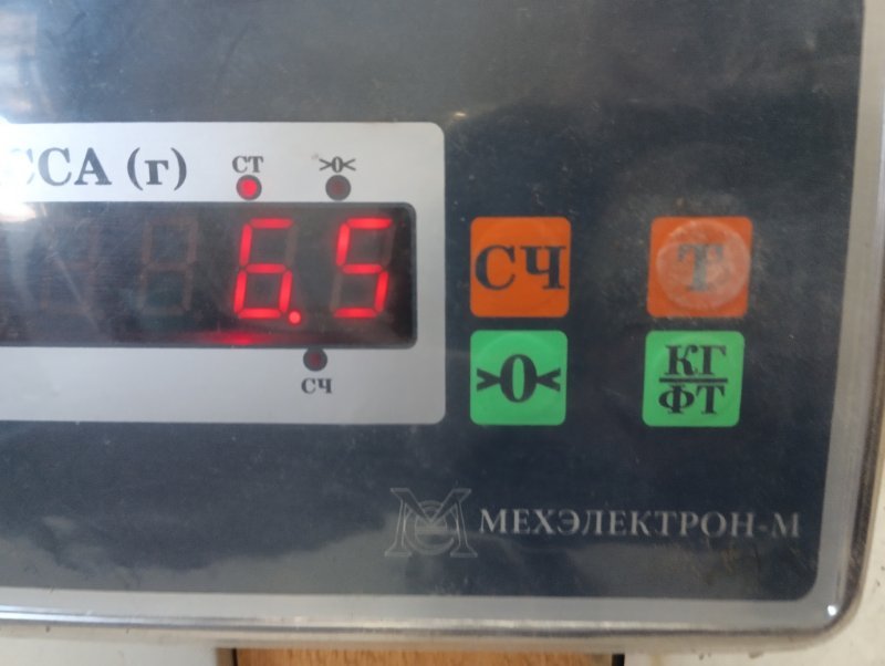 Торпедо
