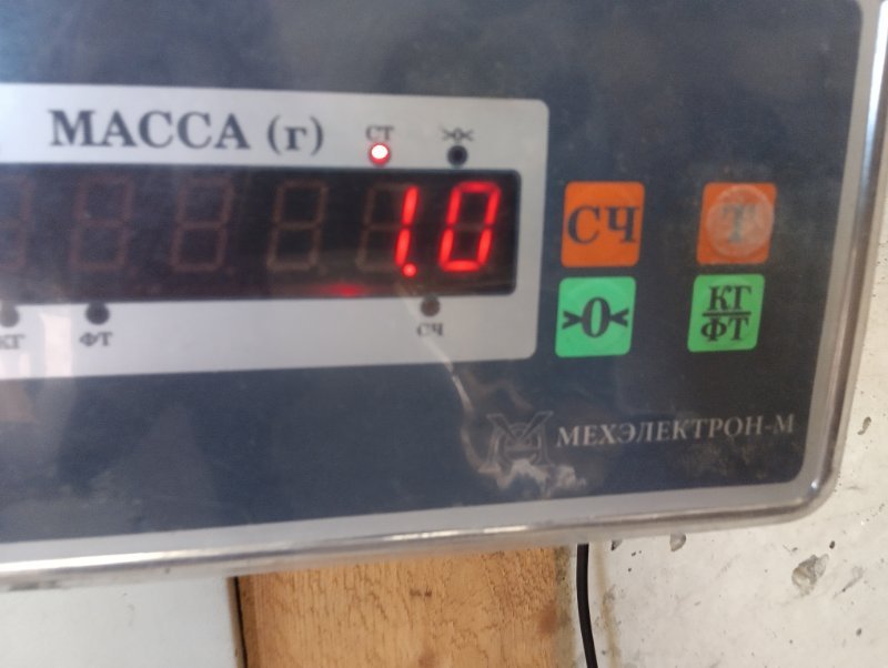 Решетка стеклоочистителей (Жабо)