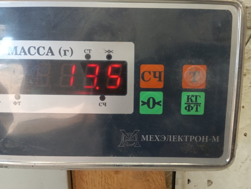 Торпедо