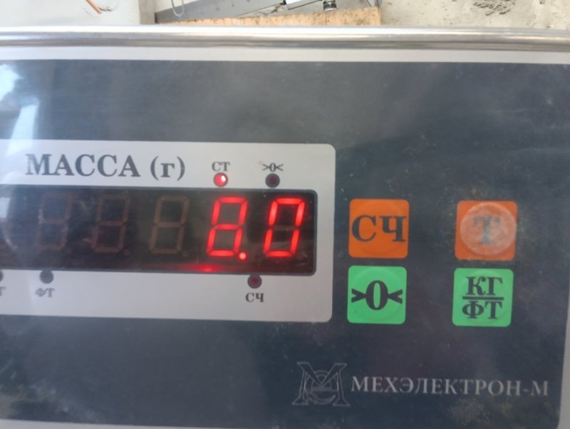 Торпедо