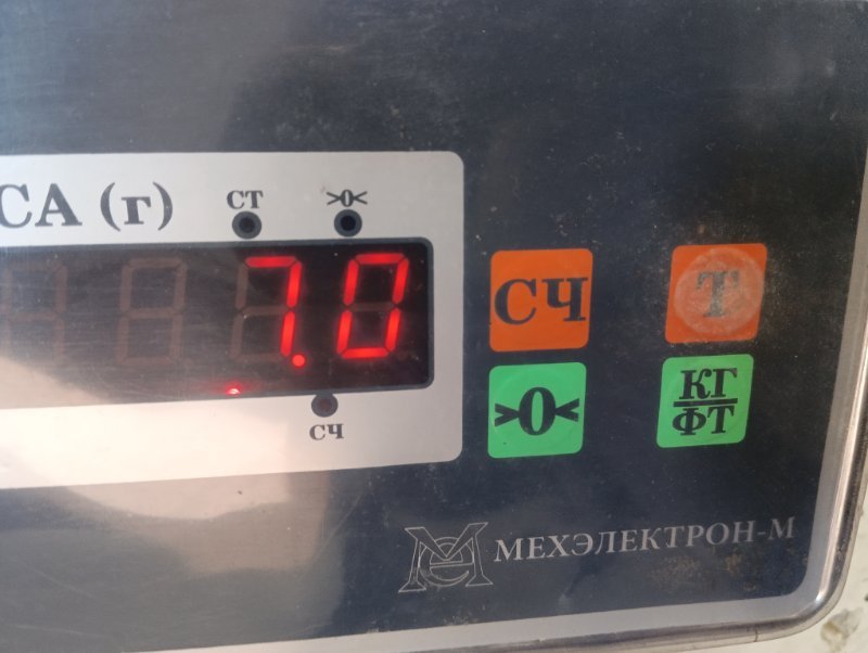 Торпедо