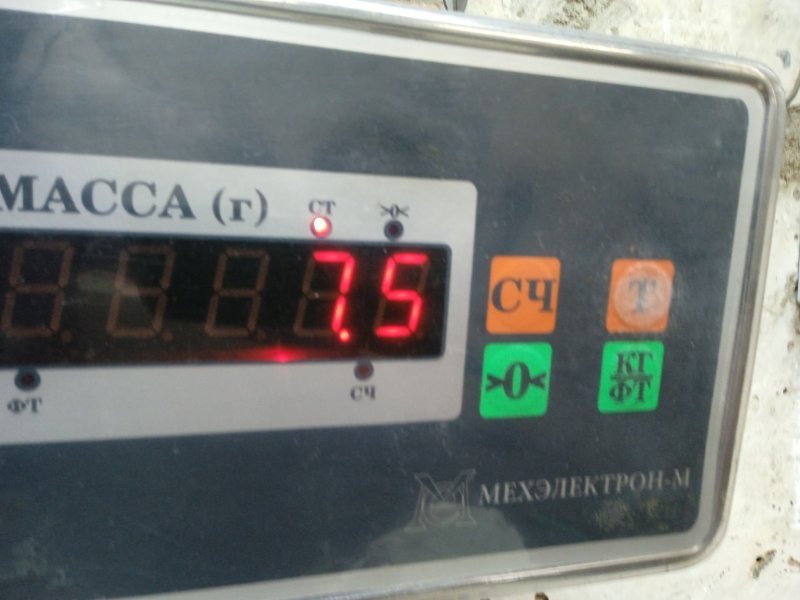 Рессора задняя