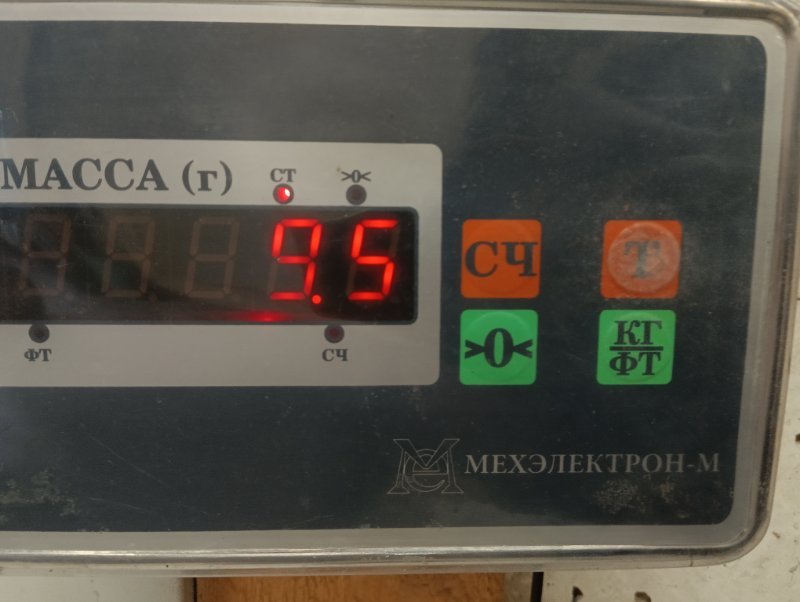 Торпедо