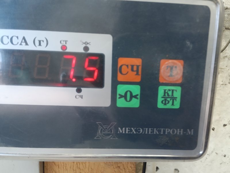 Торпедо