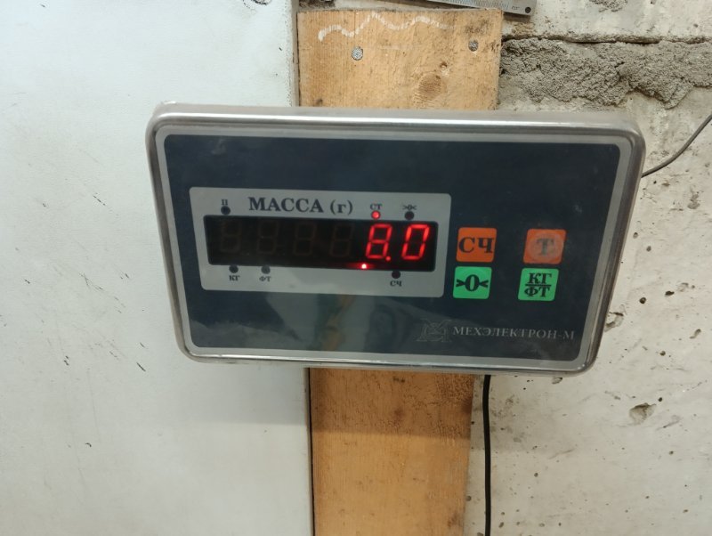 Торпедо