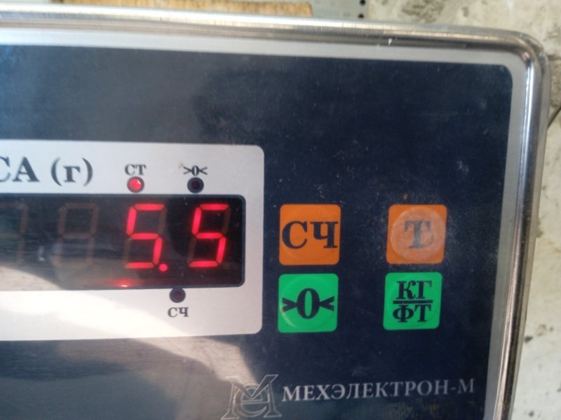 Торпедо