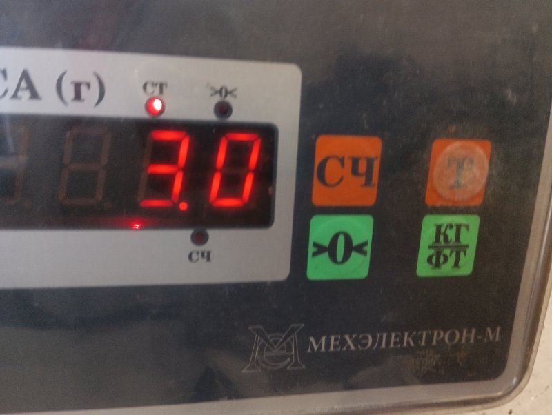 Торпедо