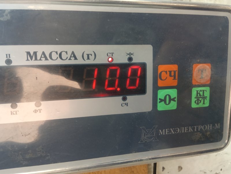 Торпедо