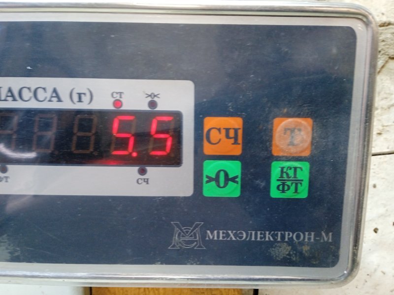 Торпедо
