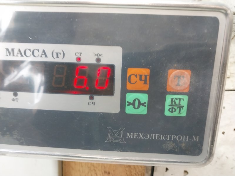 Торпедо