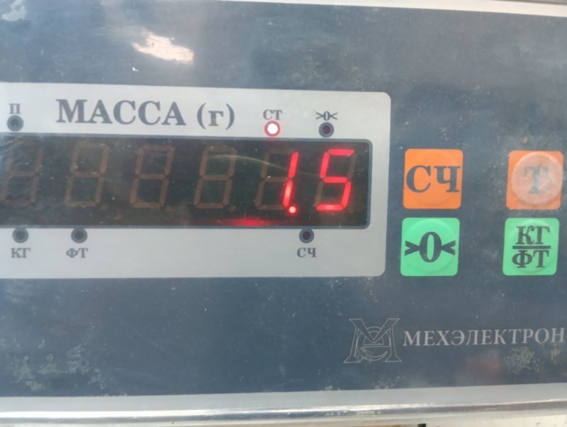Обшивка багажника