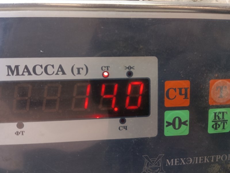 Торпедо