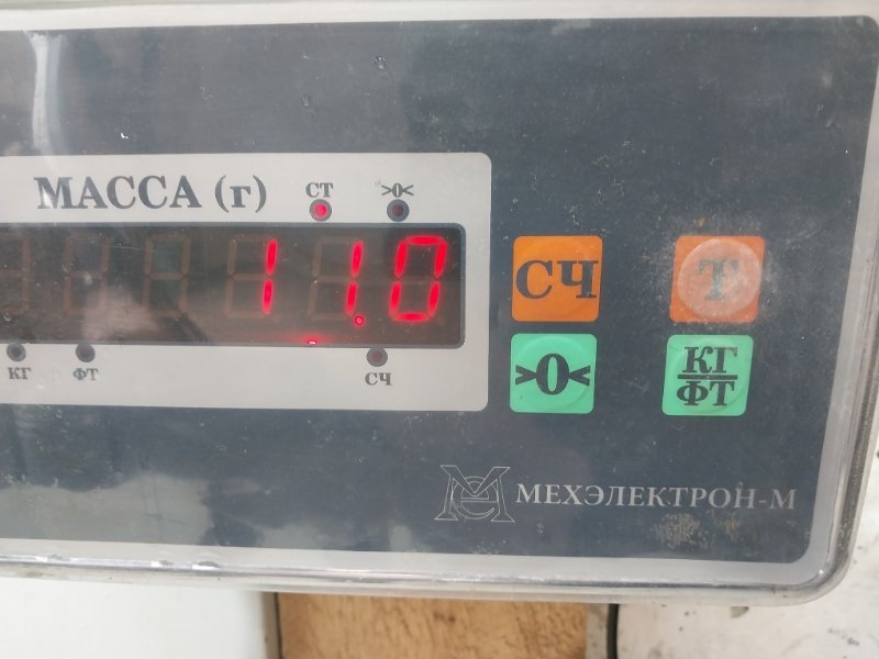 Торпедо