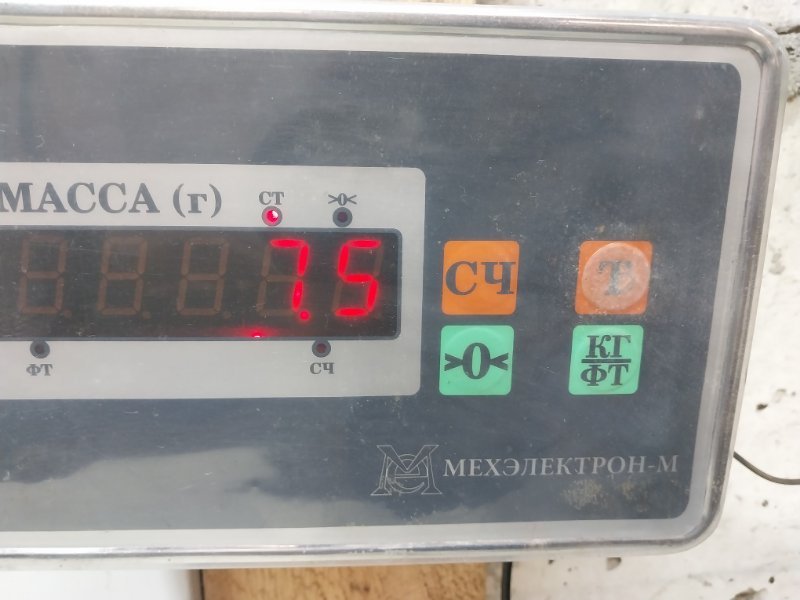 Торпедо