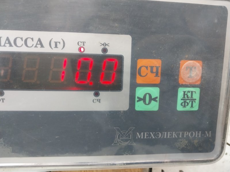 Торпедо