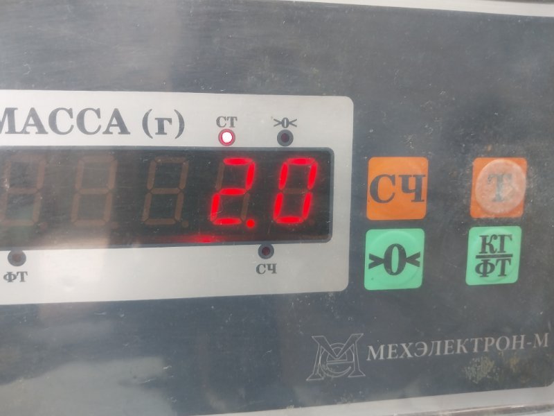 Обшивка потолка