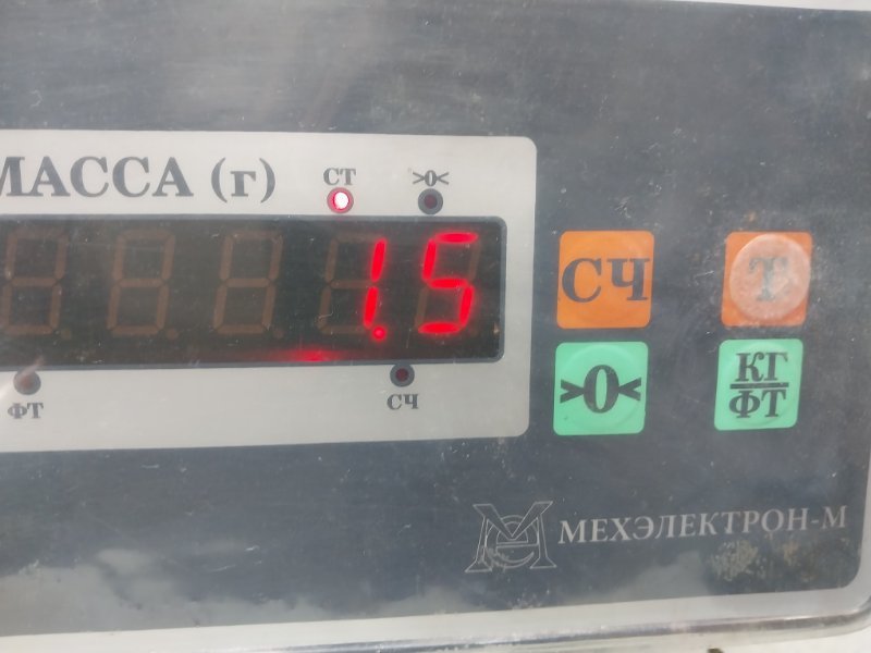Обшивка багажника