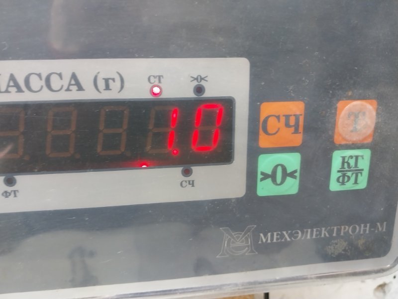 Решетка стеклоочистителей (Жабо)
