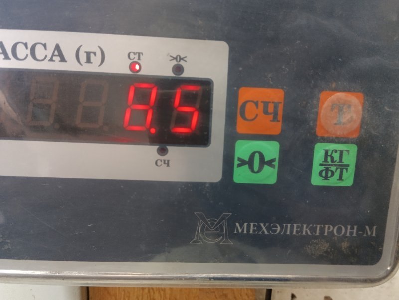 Торпедо