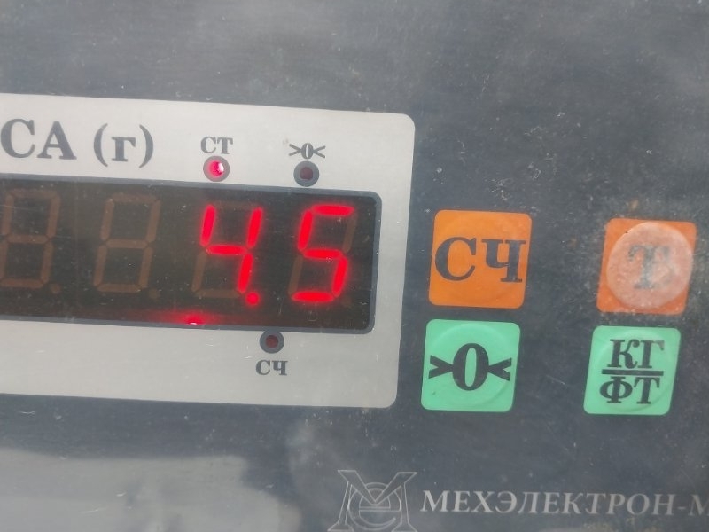 Торпедо