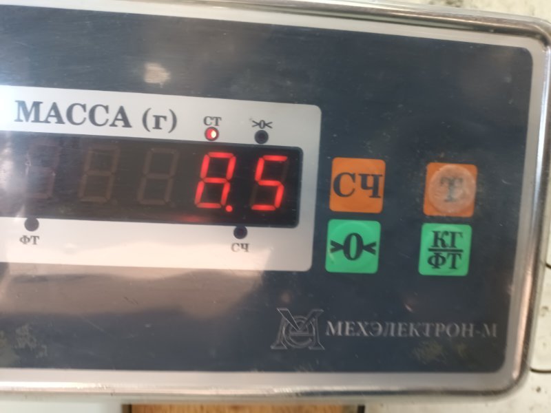 Торпедо