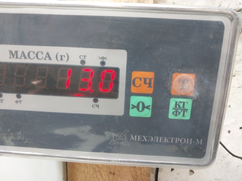Торпедо
