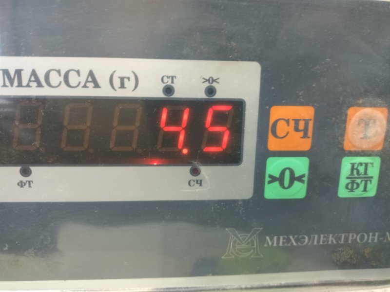 Панель задняя