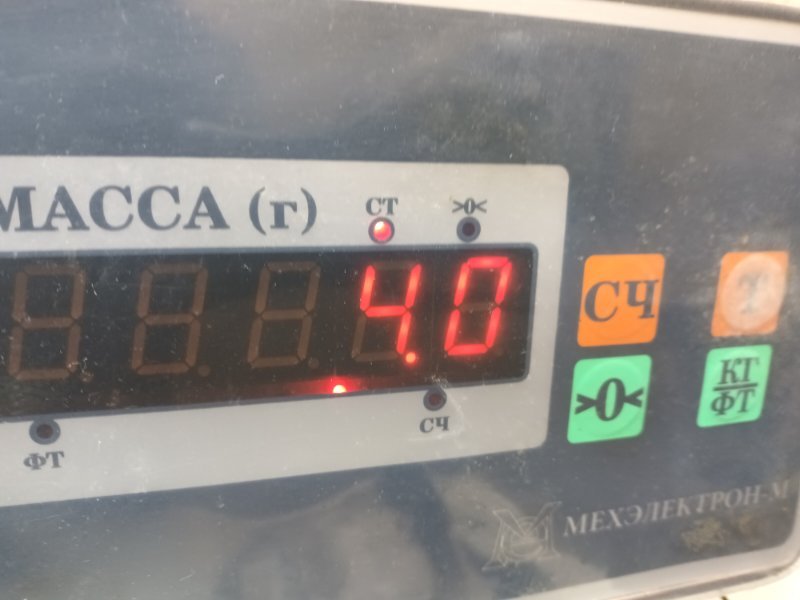 Стекло двери передней левой