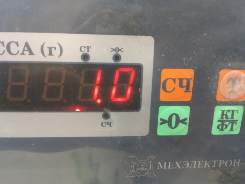 Решетка стеклоочистителей (Жабо)