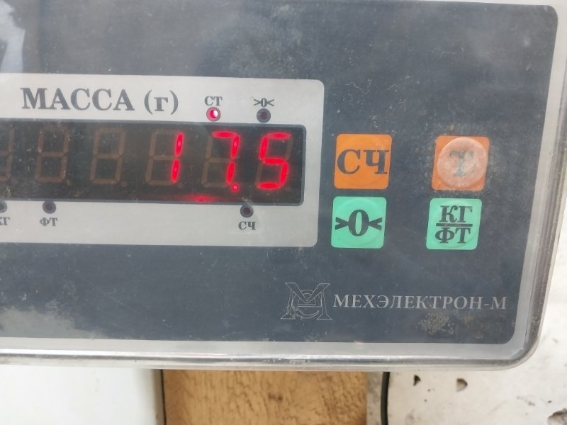 AP-0017121949 AP-0017121949