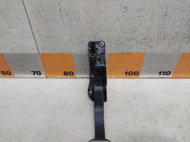 AP-0017141059 AP-0017141059