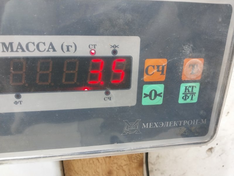 Интеркулер