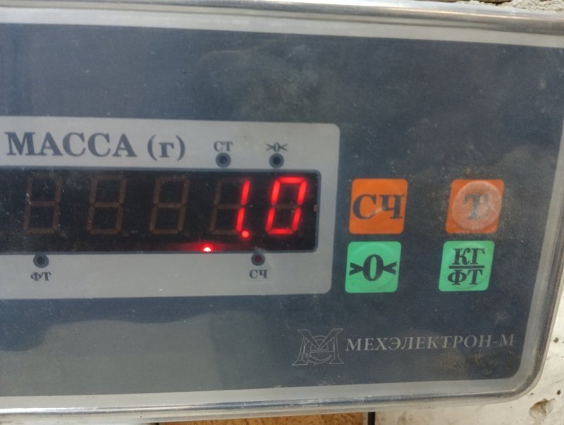 Решетка стеклоочистителей (Жабо)