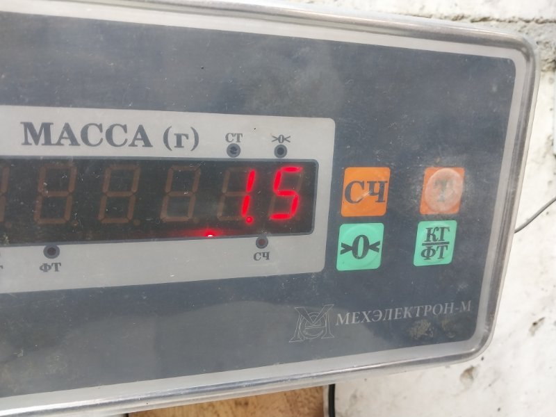 Пол багажника