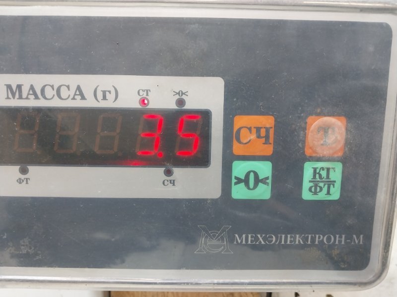 Пол багажника