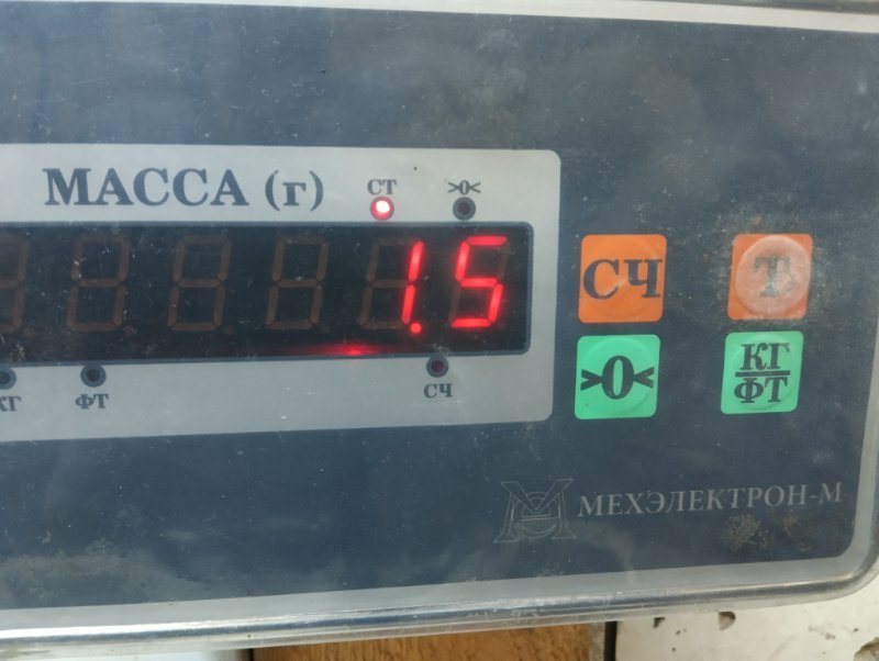 Обшивка потолка