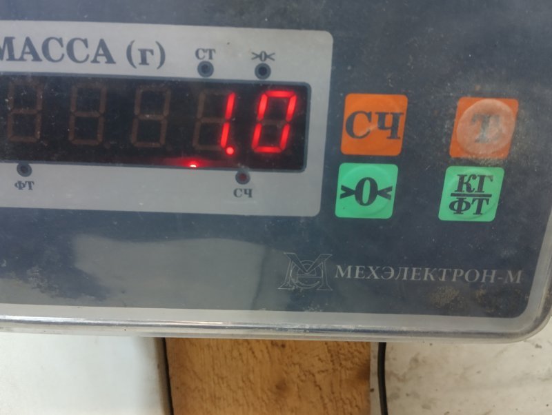 Решетка стеклоочистителей (Жабо)