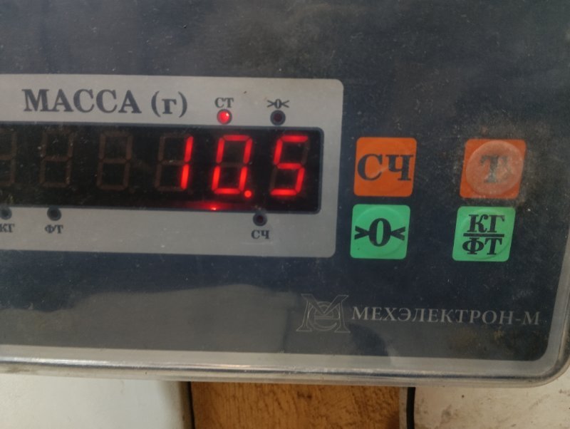 Торпедо