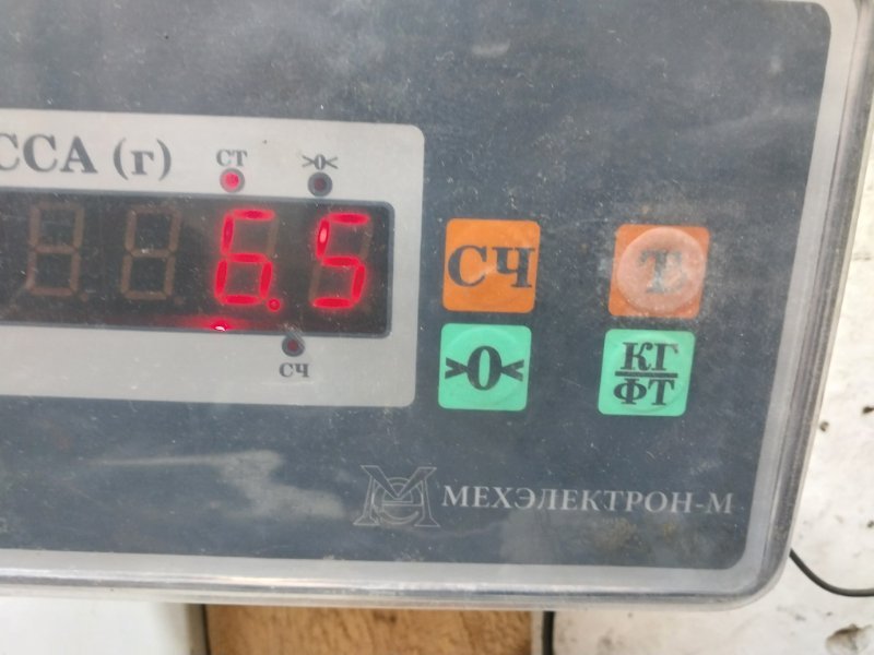 Усилитель переднего бампера